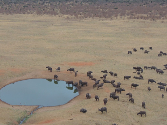 Trav-Interactive-内罗毕必去景点