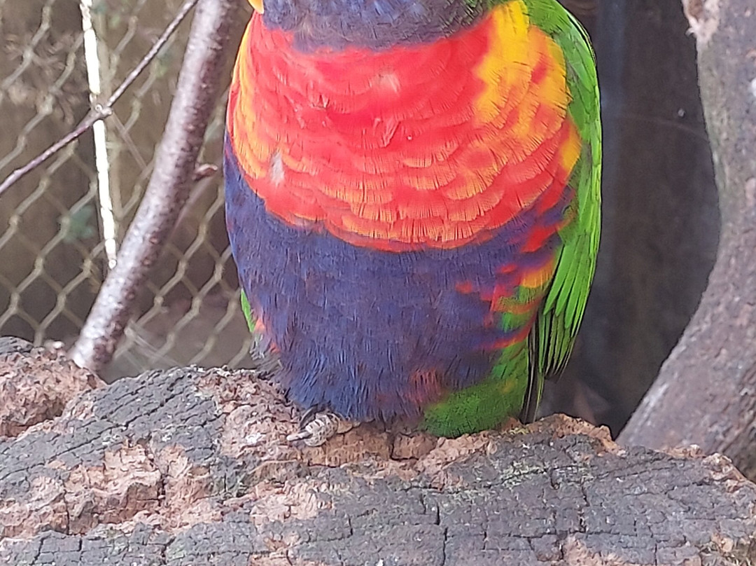 Zoo De Thoiry-Thoiry必去景点