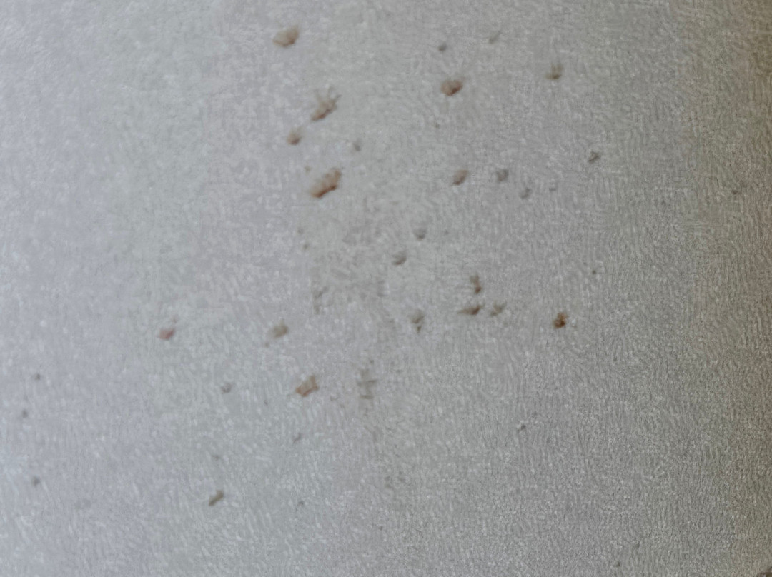 Hotel Blackhawk, Autograph Collection主图