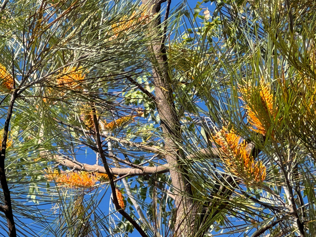 Gecko Canoeing & Trekking-凯瑟琳必去景点