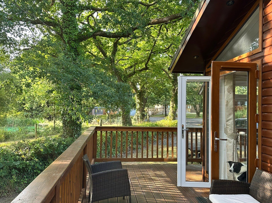 Legge Farm Coarse Fishery-Highampton必去景点