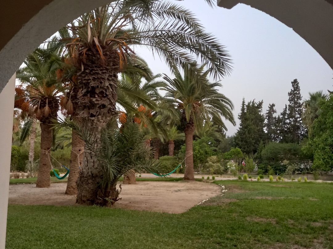 Dar El Andalous主图