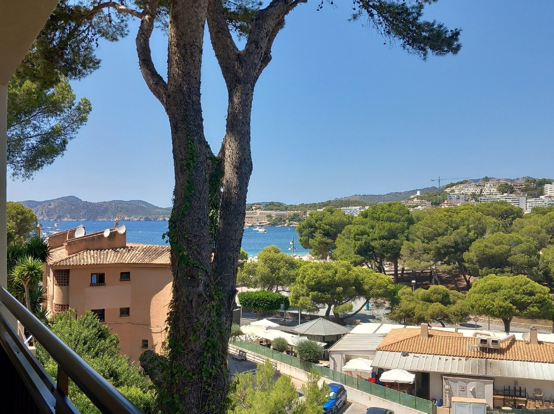 Apartamentos Casa Vida主图