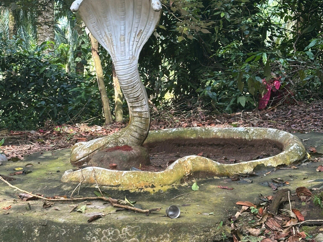 Melaka On Bike - Day Tours-马六甲必去景点