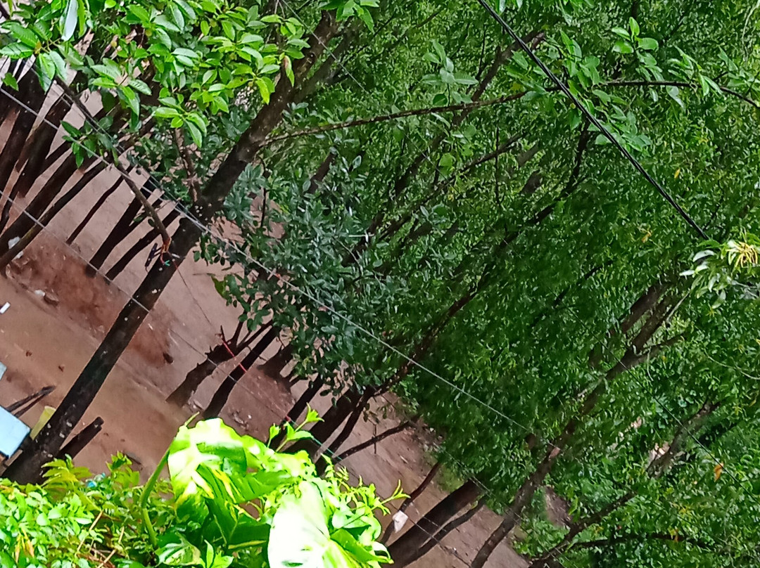 Ram Shyam Village Resort主图