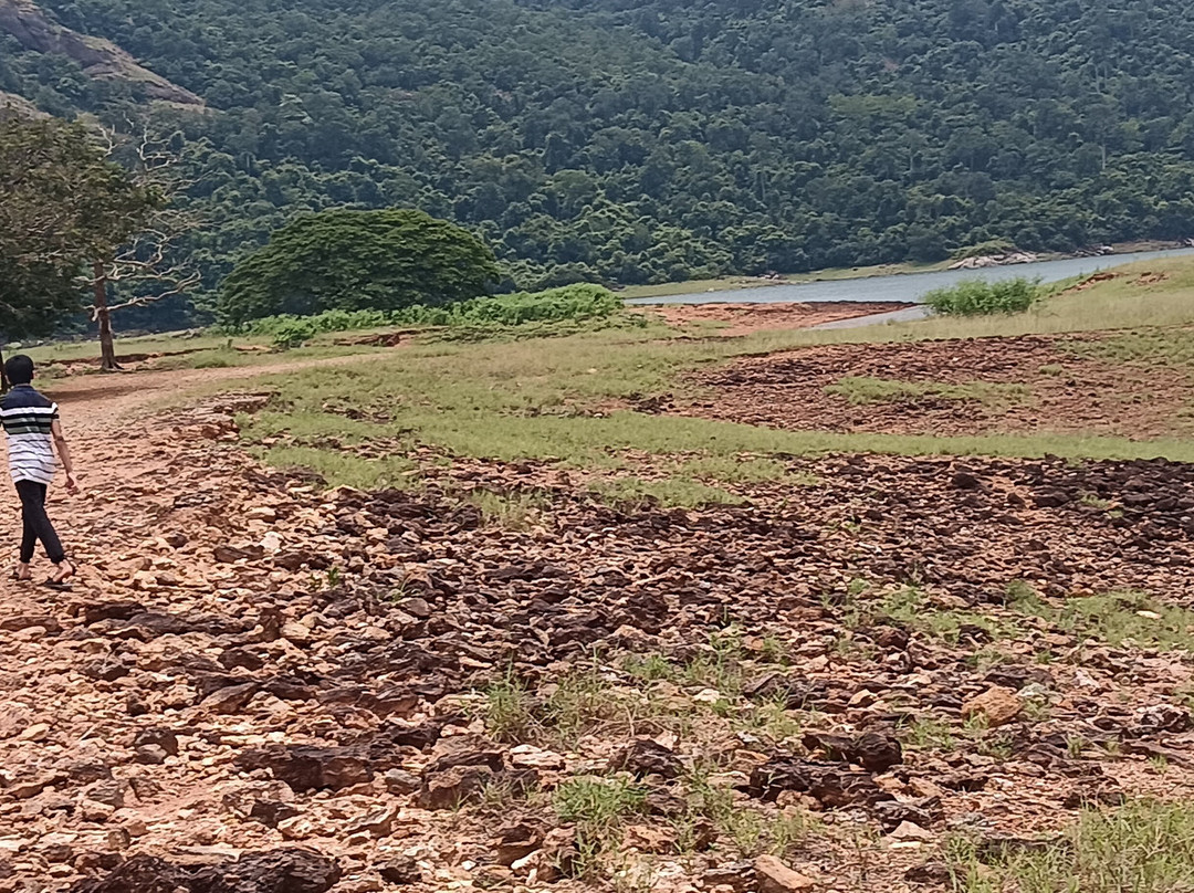 Thenmala Ecotourism-Thenmala必去景点