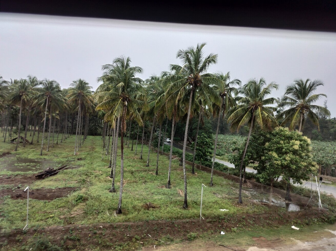 Adiyogi Shiva bust-孔巴托必去景点