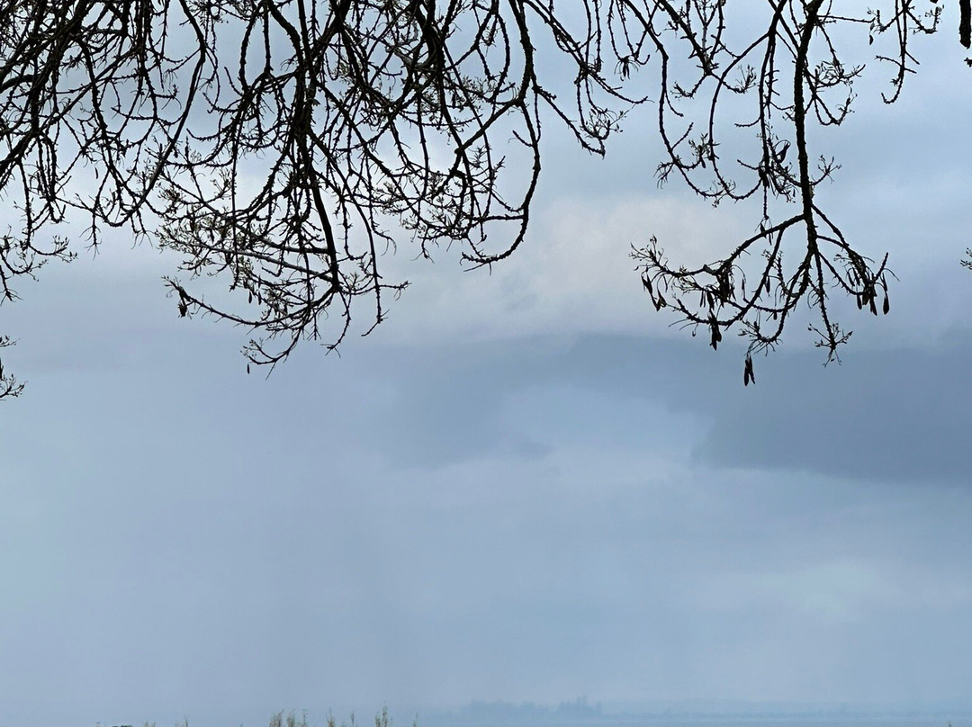 Scotchmans Hill Winery-Drysdale必去景点