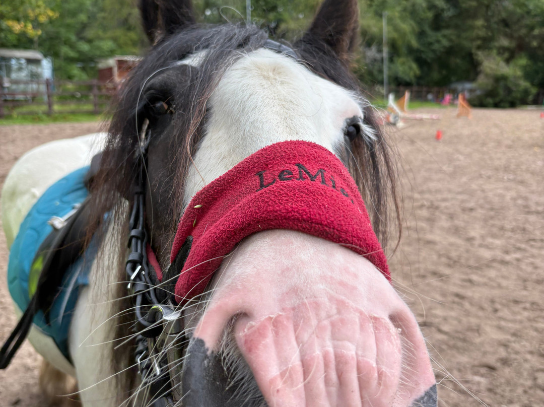 彭特利马术酒店主图