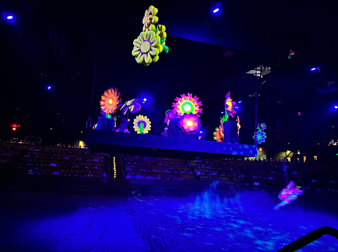 马术歌舞表演餐宴-皮金福奇必去景点