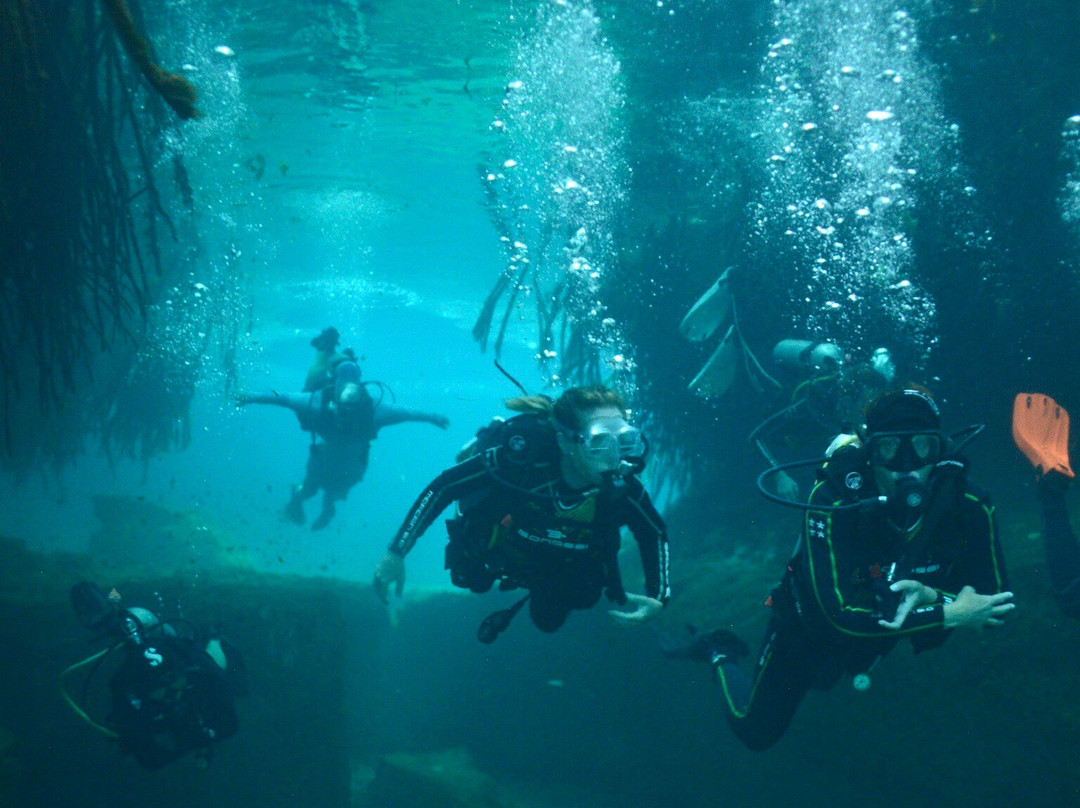 Infinity 2 Diving-图伦必去景点