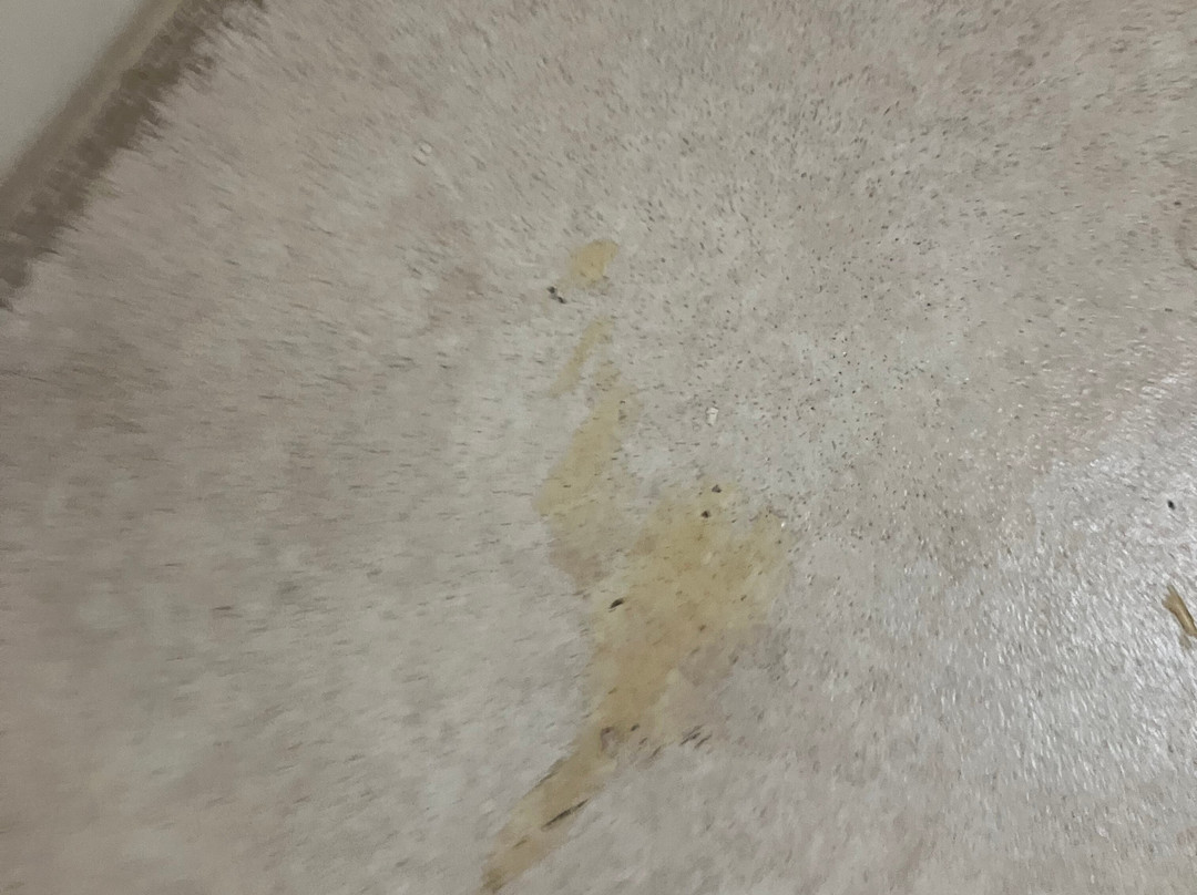 Best Western Andersen's Inn主图