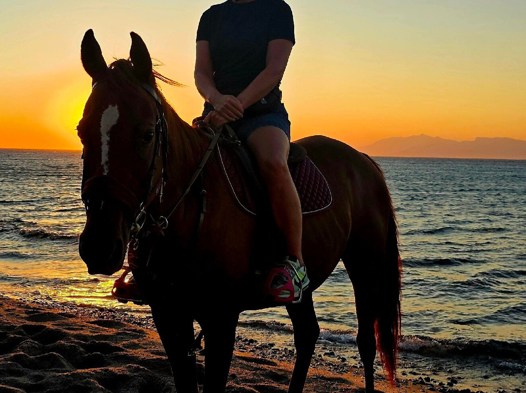 Kardamena Horse Riding Center-卡达米那必去景点