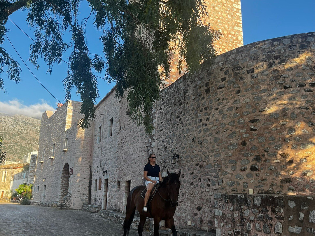 Mani Horses-East Mani必去景点