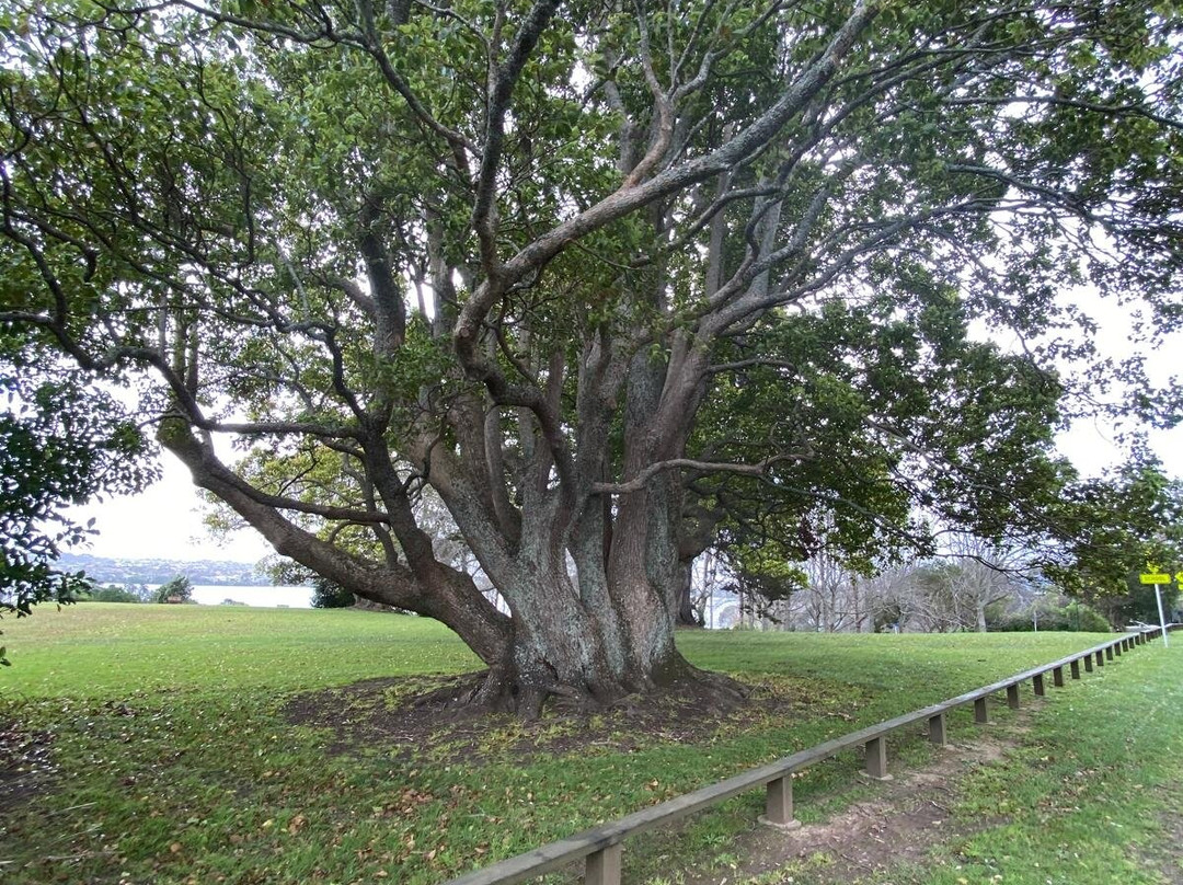 Killarney Park-塔卡普纳必去景点