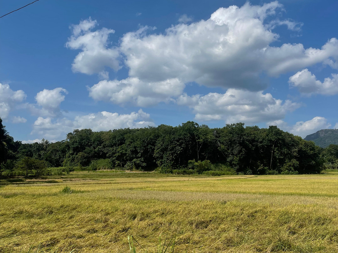 MYM Travels And Tours-班托塔必去景点