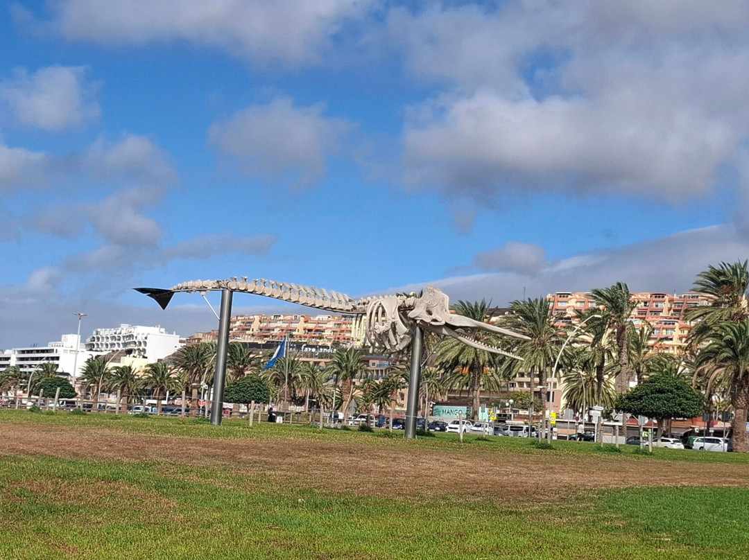 Playa Morro Jable-Morro del Jable必去景点