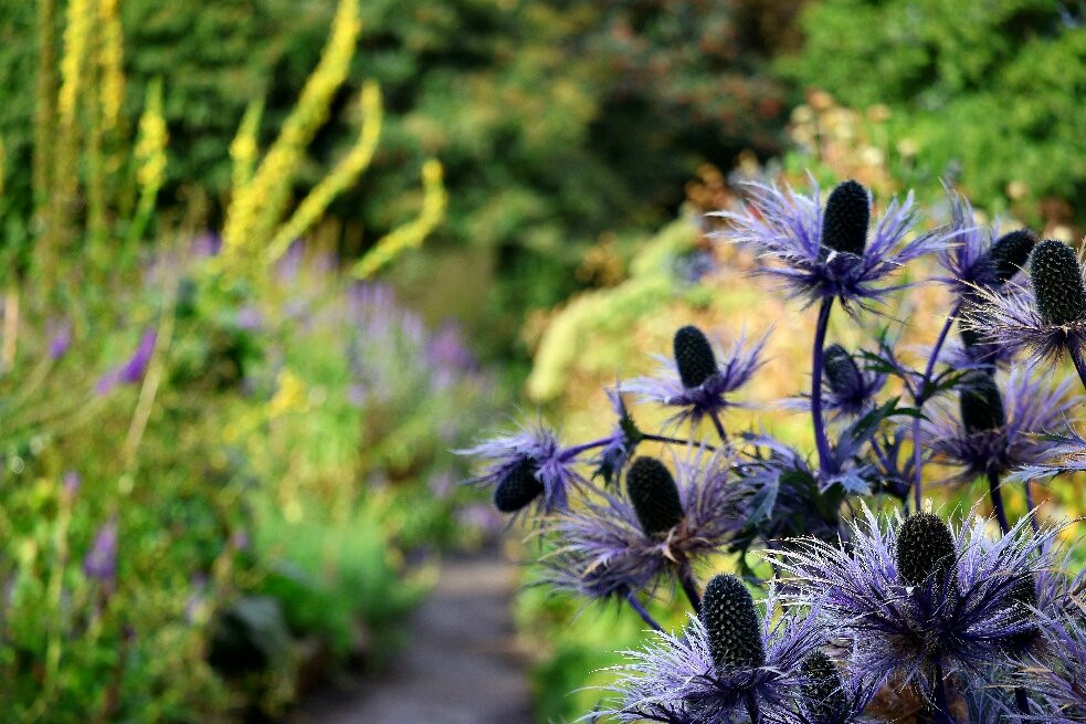 Akureyri Botanical Garden-阿克雷里必去景点