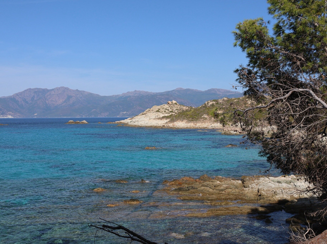 Saleccia Off Road-Saint Florent必去景点