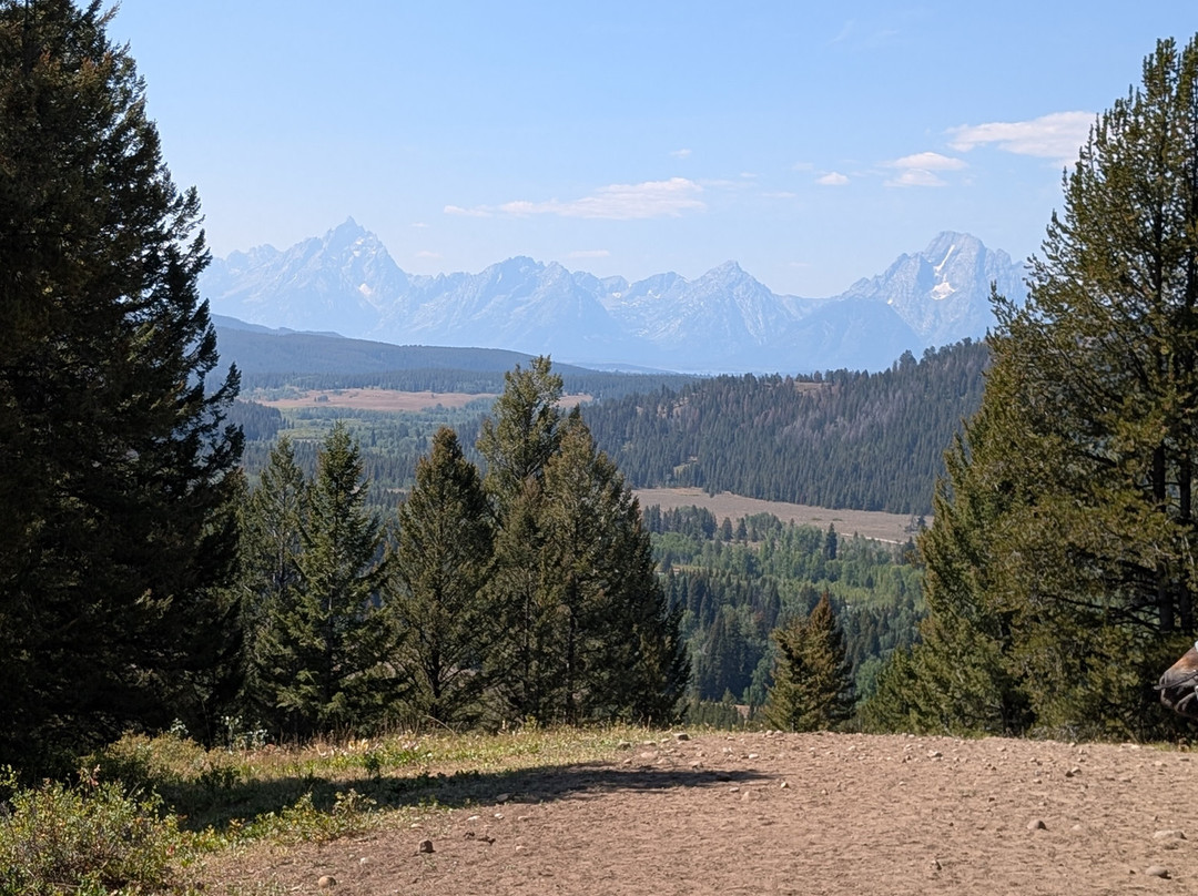 Swift Creek Outfitters & Teton Horseback Adventures-莫兰必去景点