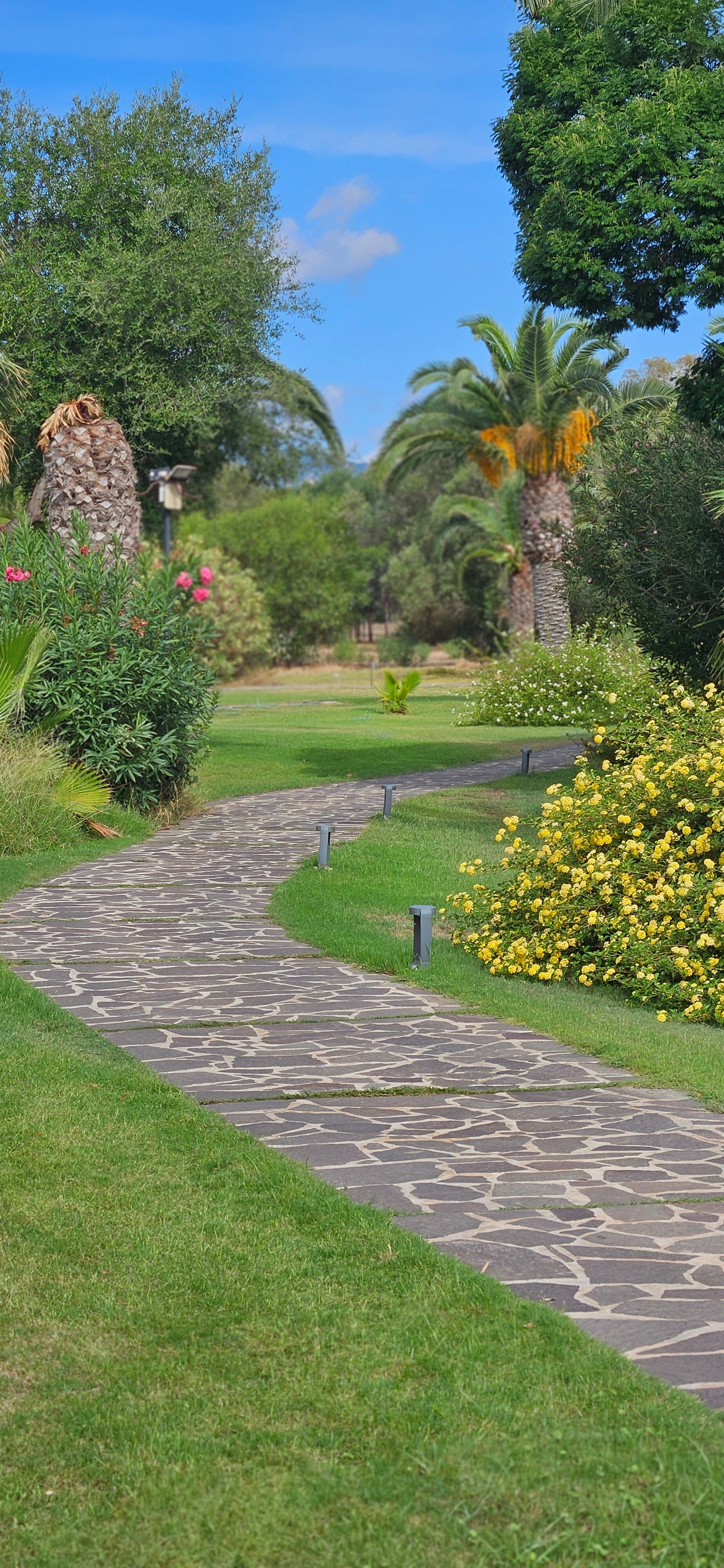 迪菲奥里海岸酒店-官方