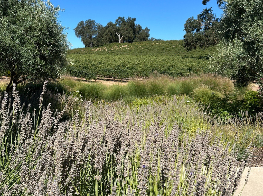 JUSTIN Vineyards & Winery-帕索罗布尔斯必去景点