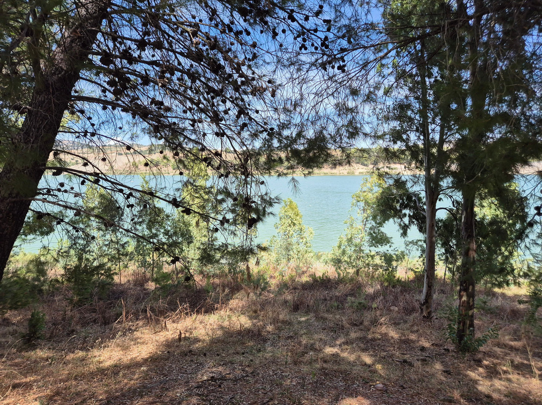 Lago Nicoletti-Enna必去景点