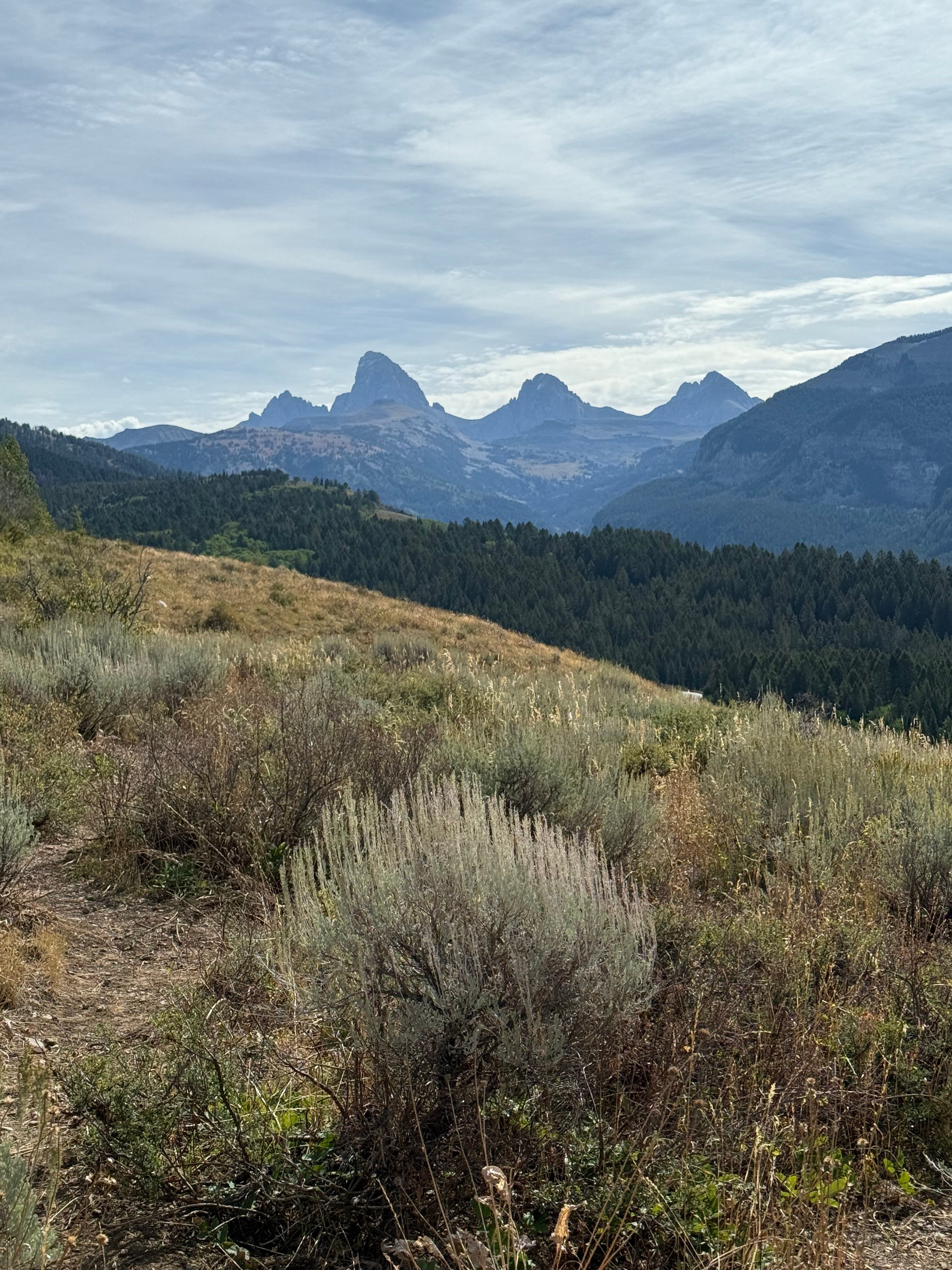 特顿山谷小屋-官方