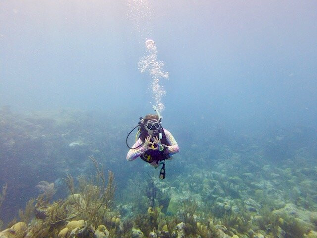 Dive Bermuda at Somerset-Sandys Parish必去景点