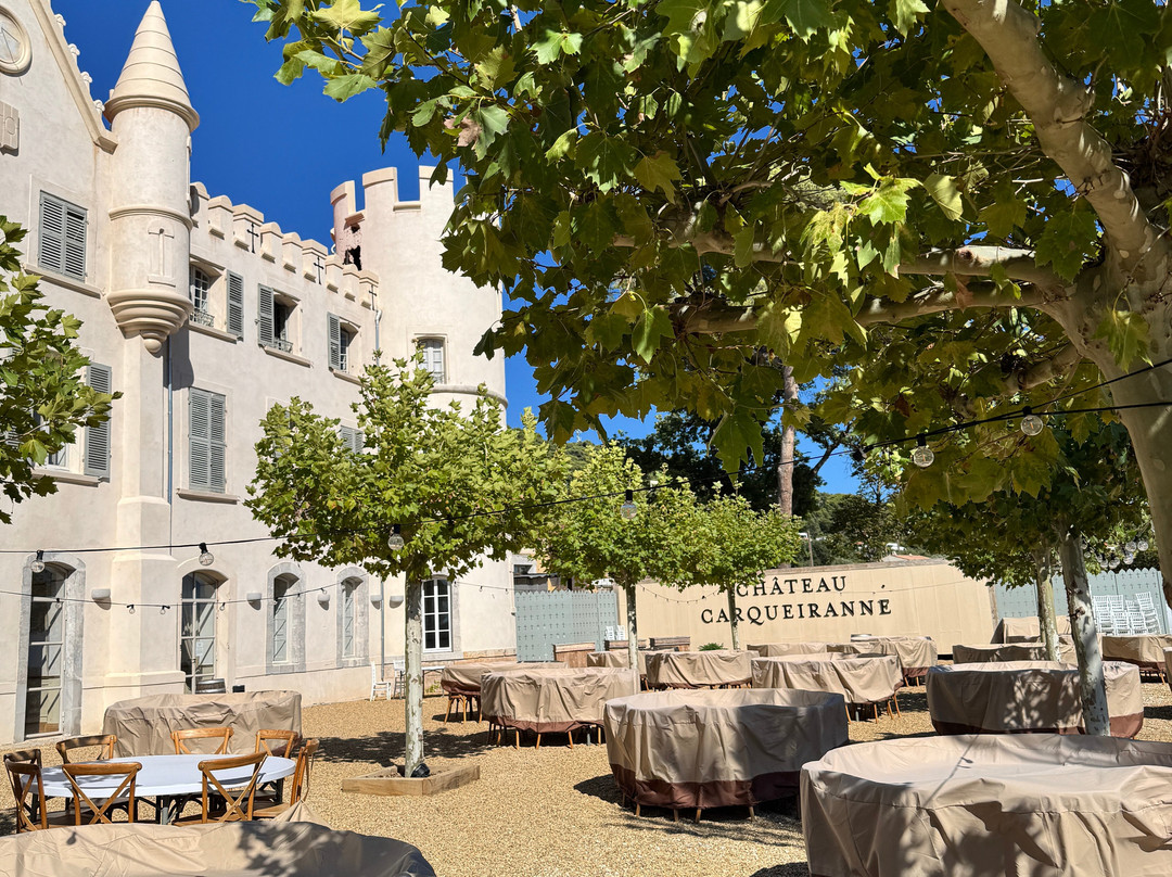 Dégustation Vignes Et Patrimoine-Carqueiranne必去景点