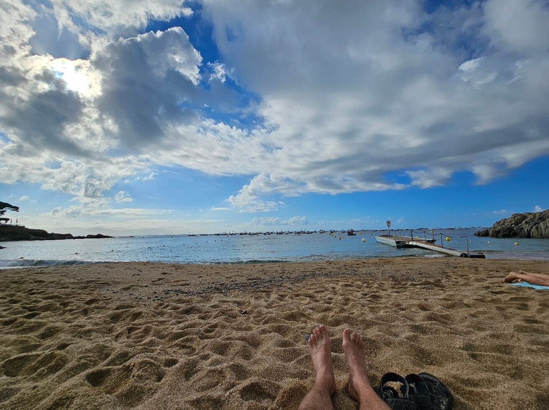 Hotel Calella de Palafrugell主图