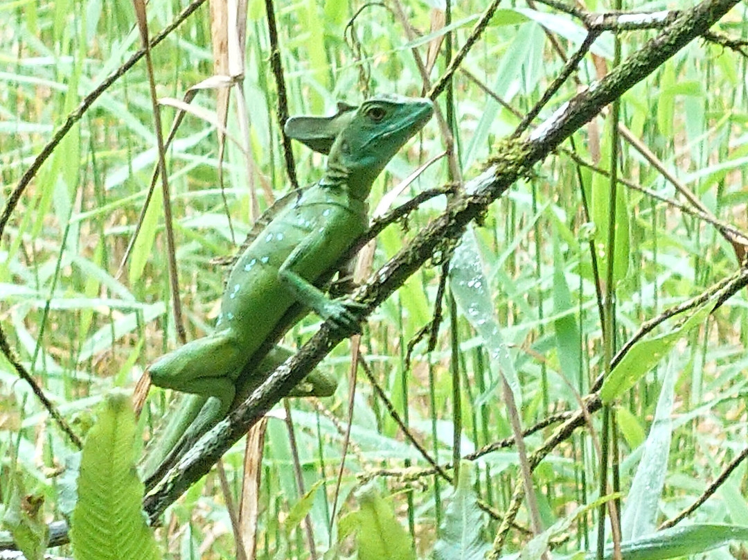 My Costa Rica-圣何塞必去景点