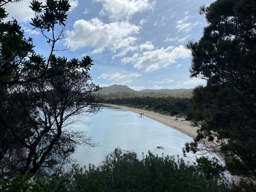 Richardsons Beach-科尔斯湾必去景点