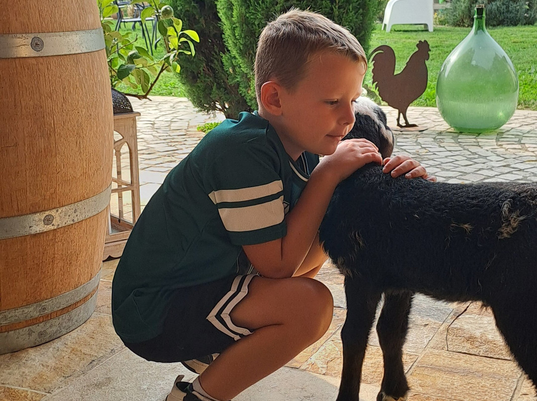 Cascina Granello Di Senape-Frossasco必去景点