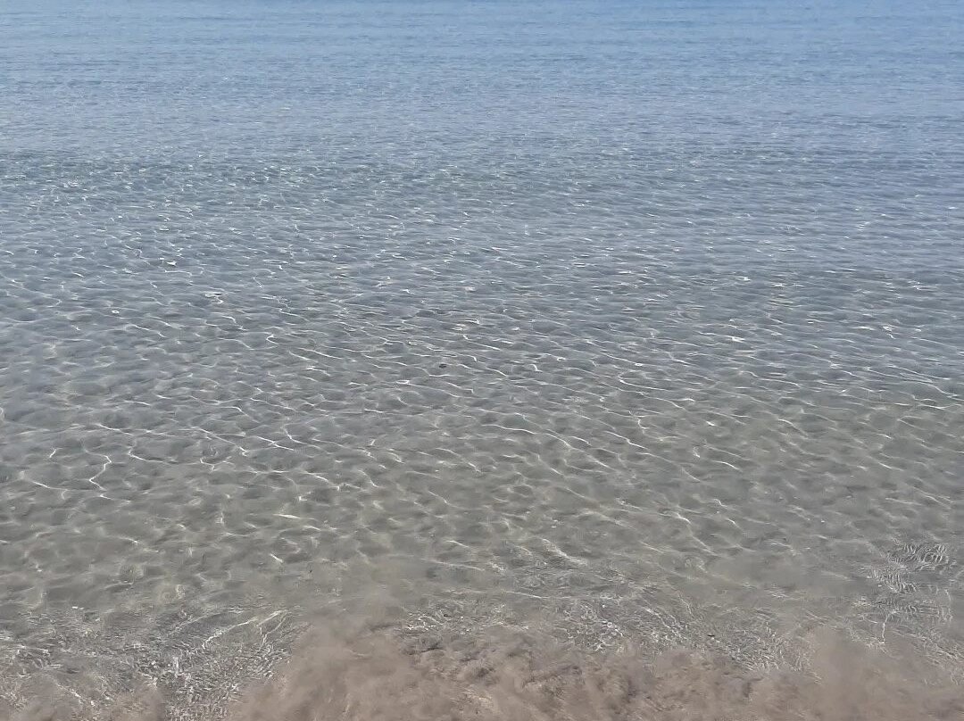 Bed and Breakfast Gli Ulivi主图