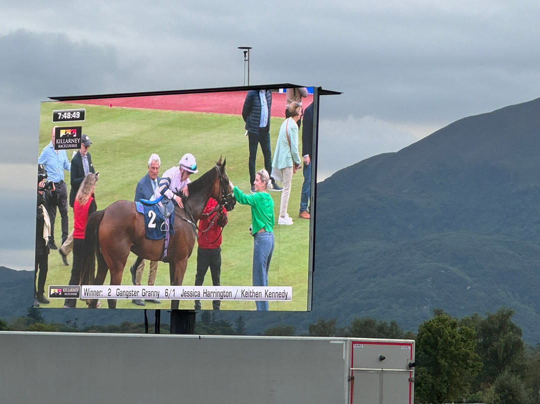 Killarney Tour & Taxi Service-基拉尼必去景点