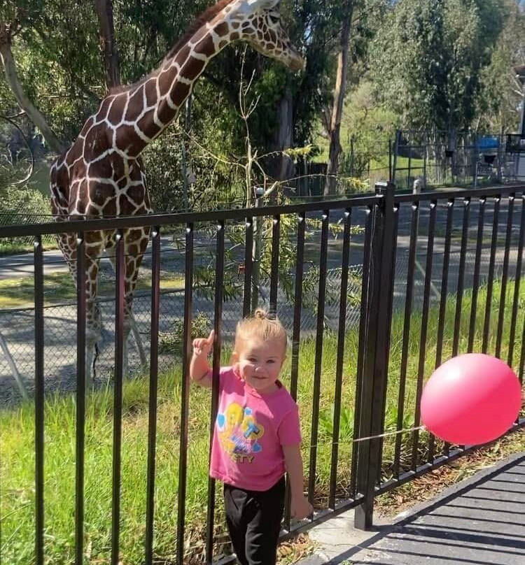 Six Flags Discovery Kingdom-瓦列霍必去景点