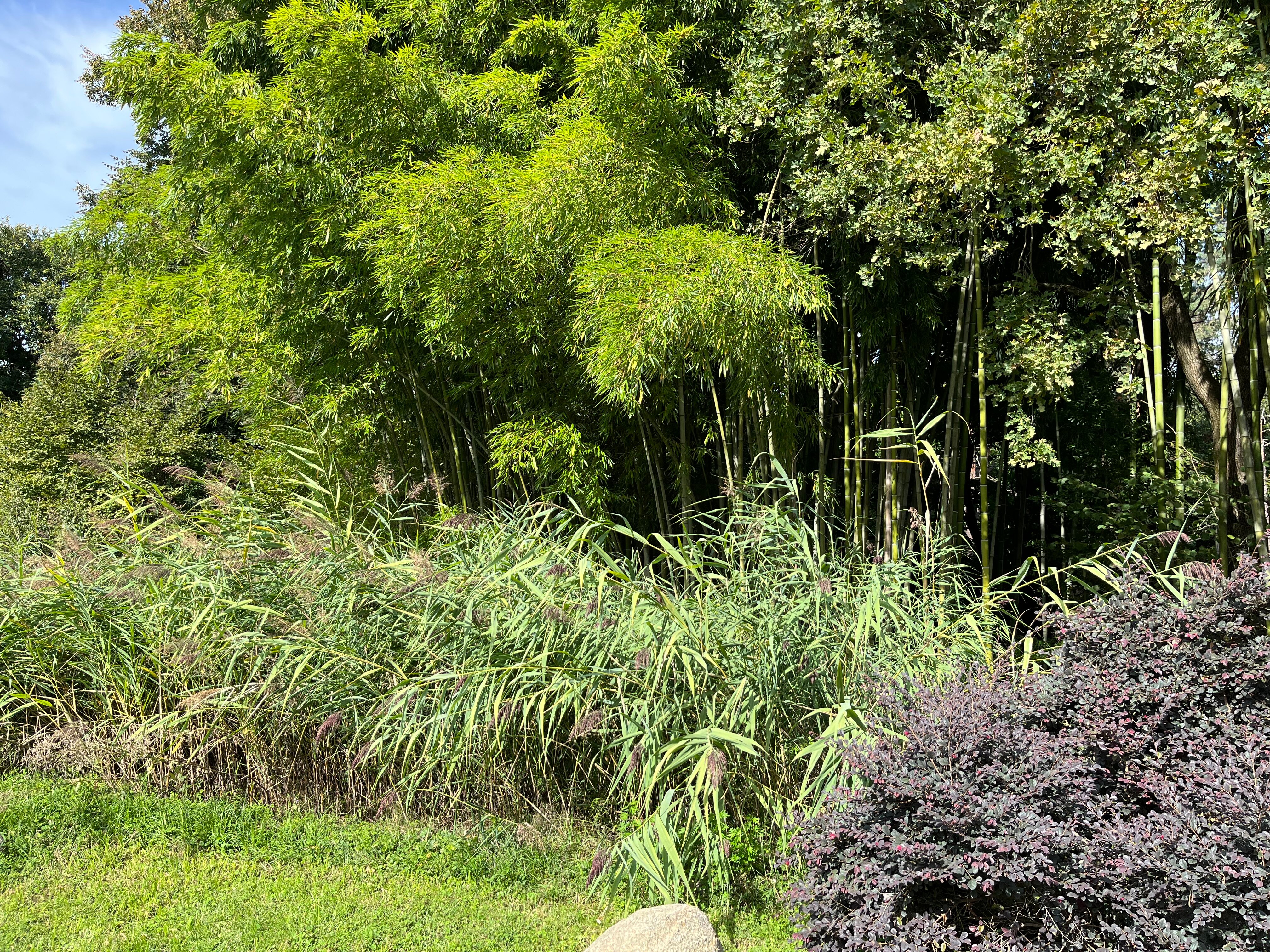 Cascina Rodiani - Green Hospitality-浴室