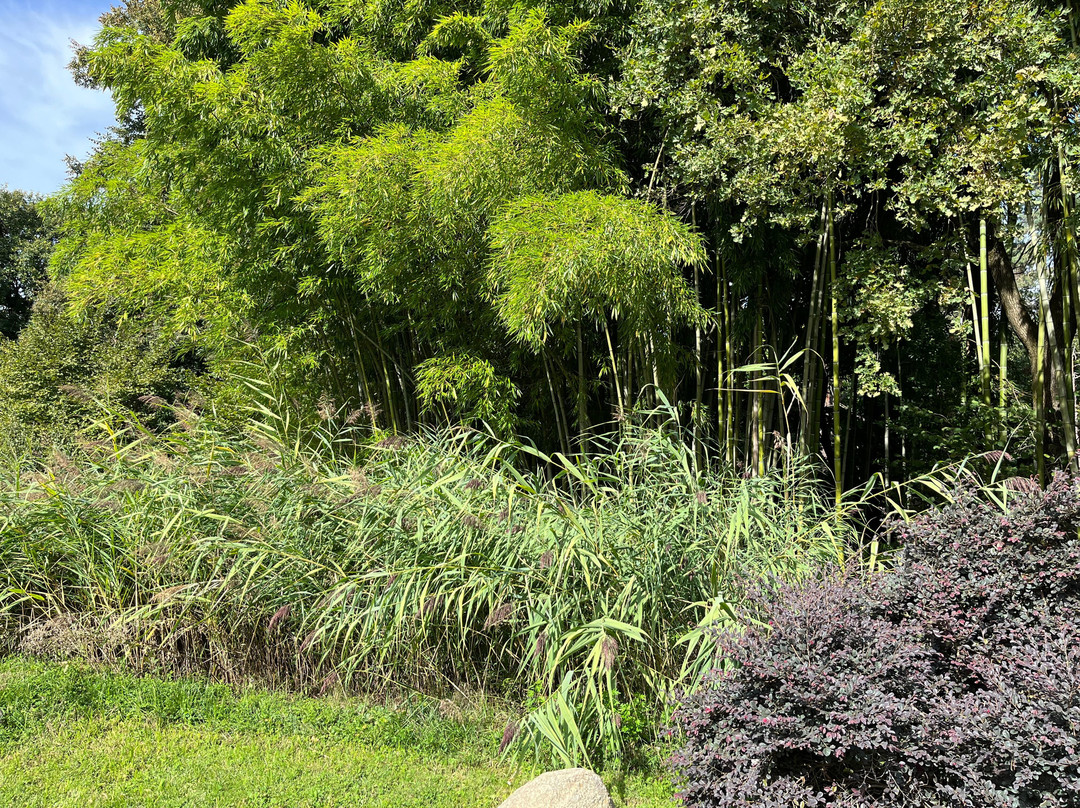 Cascina Rodiani - Green Hospitality主图