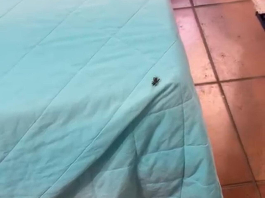 Agriturismo Sabidor主图