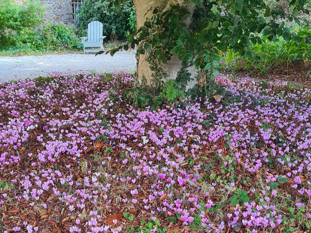 Malouinière de la Ville-Bague-Saint-Coulomb必去景点