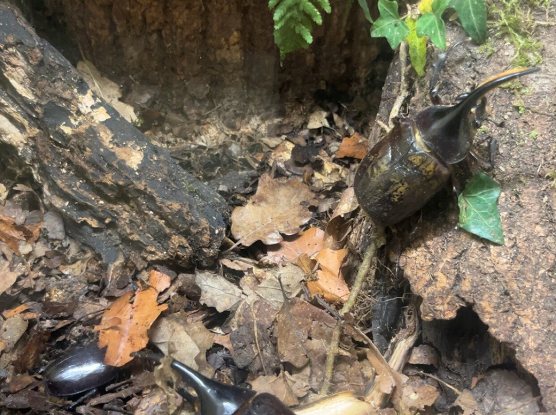 La Citadelle de Besancon-贝桑松必去景点