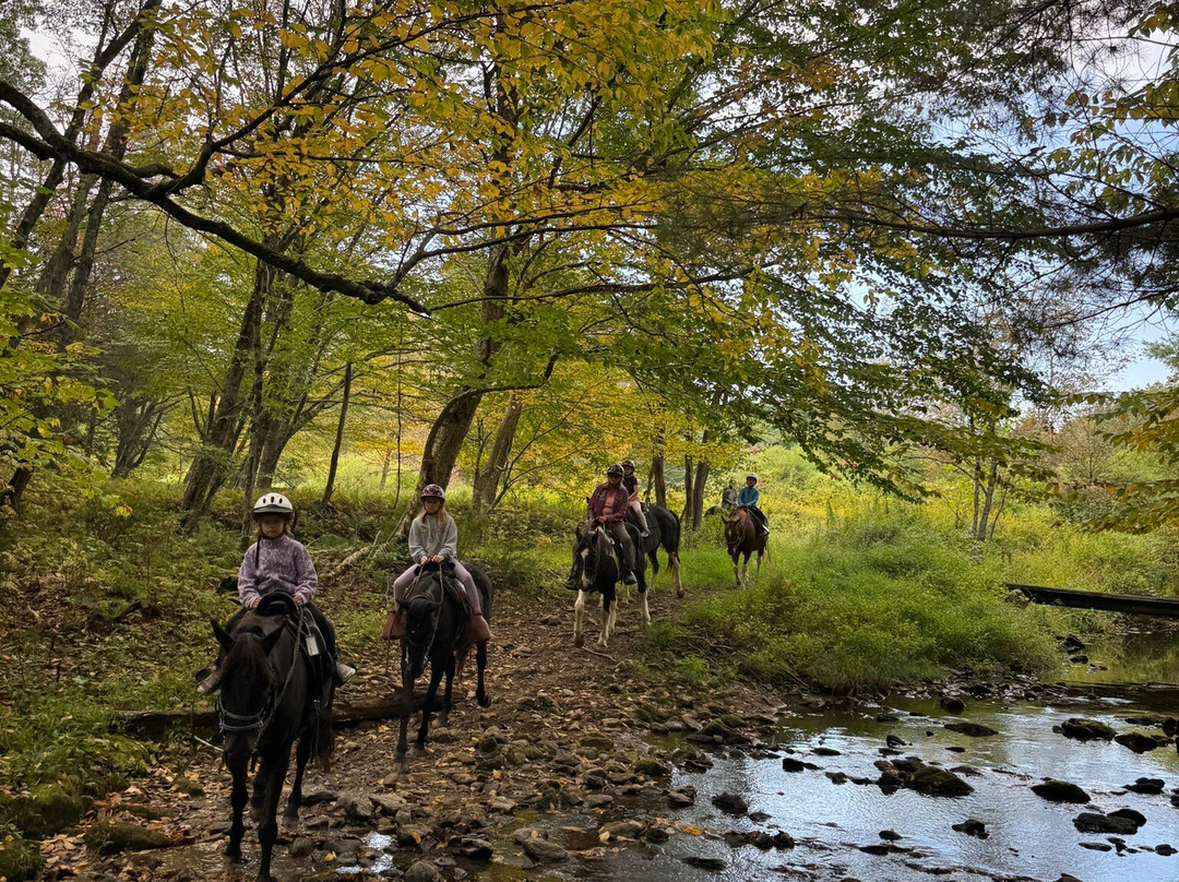 Appalachian Horse Adventures - Montebello, VA-Montebello必去景点