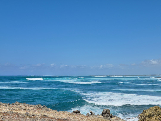 Dino Boat Trip-Beau Vallon必去景点