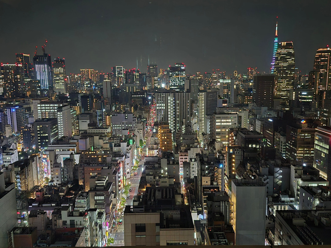 The Blossom Hibiya主图