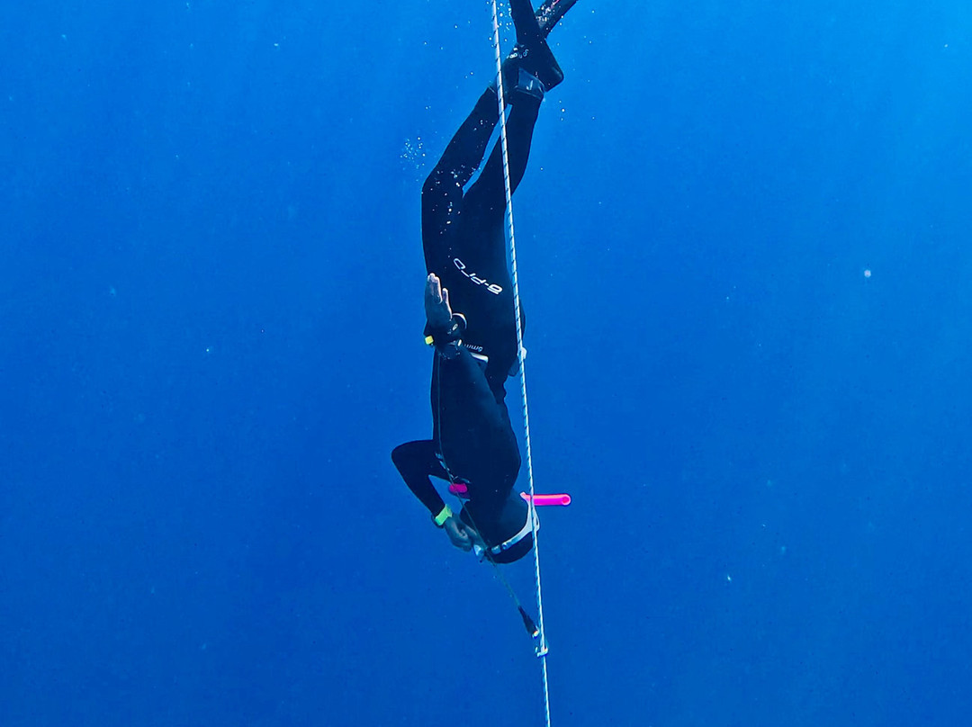 Apneemotion-Saint-Mandrier-sur-Mer必去景点