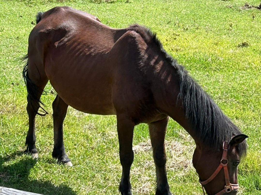 Kisomanosato-木曾町必去景点