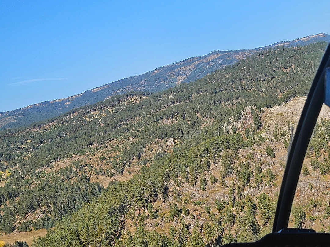 Black Hills Aerial Adventures-卡斯特必去景点