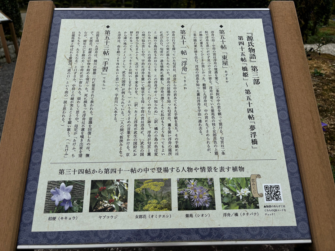 Murasakishikibu Park-越前市必去景点