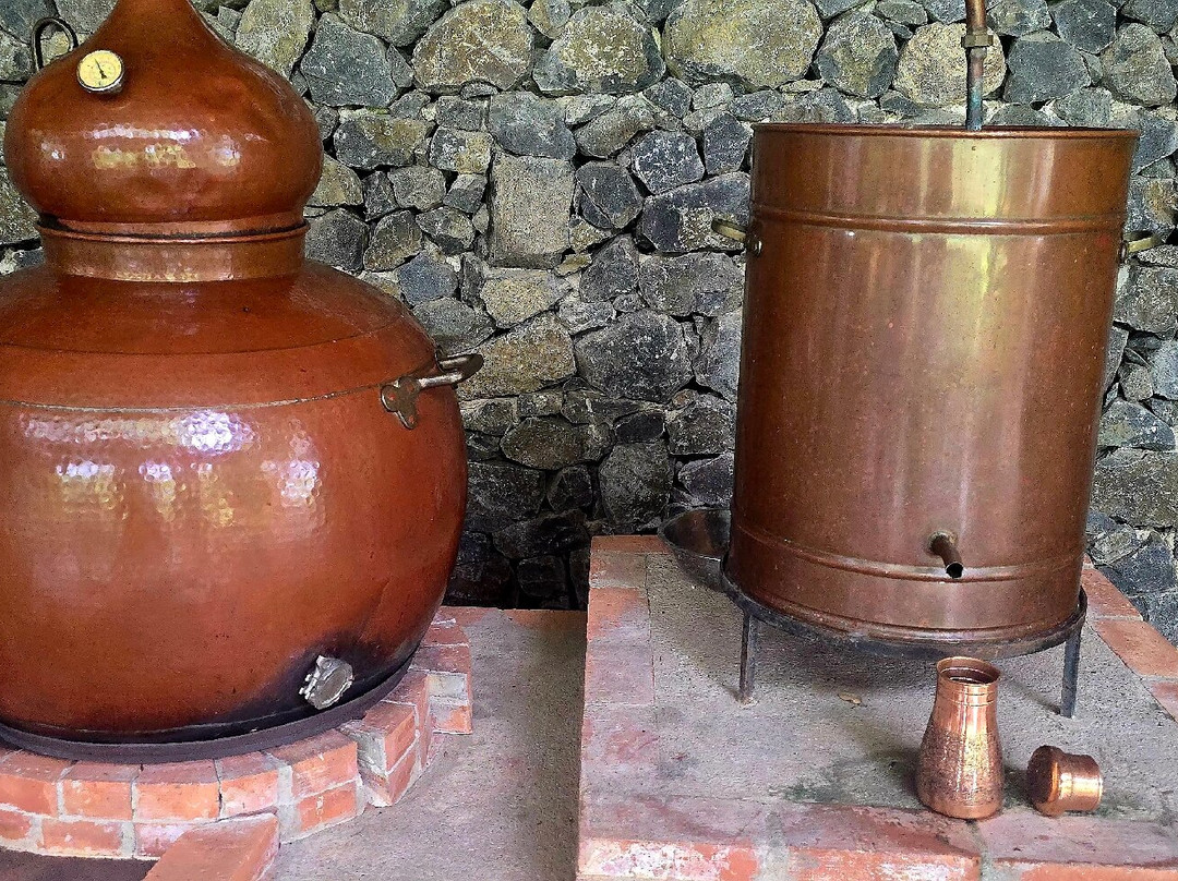 Hacienda El Viejo Wetlands-Area de Conservacion Guanacaste必去景点